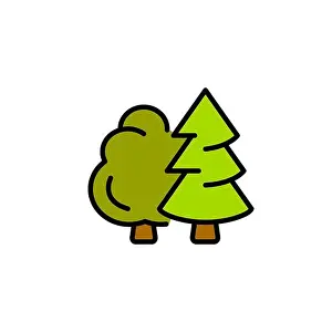 Coniferous Prints: Deciduous and coniferous tree color