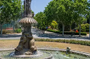 Summer Day Prints: Decorative Dolphin Statue Fountain in Public Park
