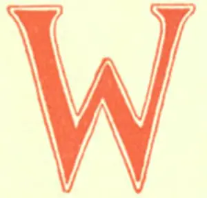Identifier Prints: Decorative illustration of the letter W