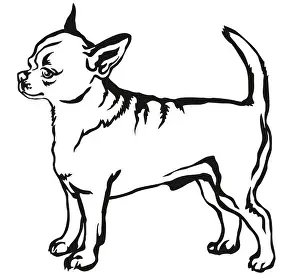 Snout Prints: Decorative portrait of standing in profile short haired Chihuahua