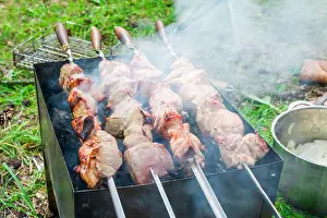 Roast Prints: Delicious pork grilled meat over the coals on a barbecue outdoor