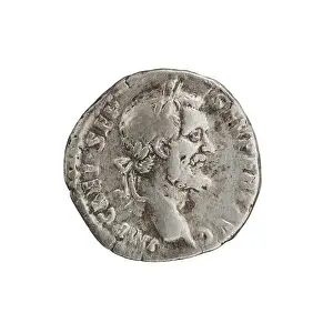 Obverse Prints: Denarius of Septimius Severus (146–211; Roman emperor 193–211)