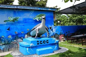 Denpasar Prints: Denpasar, Bali in Indonesia - February 09 2024: Sea Turtle Conservation and Education Center Serangan