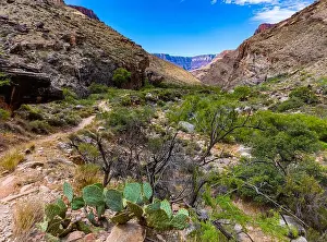 Descending Toward The Box on The North Kaibab Trail, Grand Canyon National Park, Arizona, USA