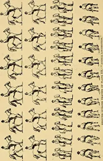 Physiological Prints: Descriptive zoopraxography, or