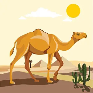 Camel Prints: Desert camel composition with wasteland landscape