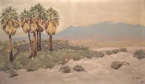 Identification Prints: Desert near Palm Springs is an oil painting by American artist Carl Eytel