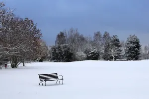 Open Prints: Deserted bench in snow, Sadler's Ride