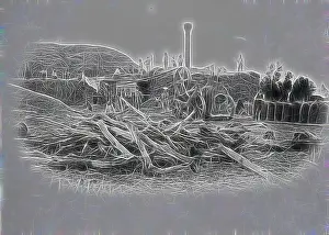Foreground Prints: A desolate landscape features twisted tree branches scattered across the foreground