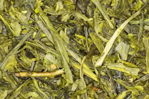 Natural Background Prints: A detailed close-up view of dried green tea leaves and stems