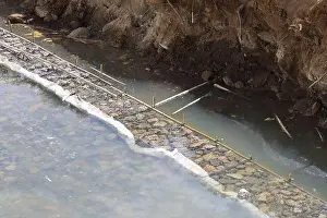 Reinforcement Prints: Detailed gabion wall construction process showing wire mesh baskets filled with rock to form strong riverbank
