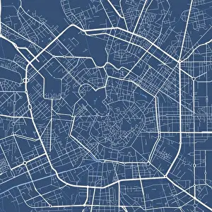 Blue City Prints: Detailed map poster of Milan city administrative area