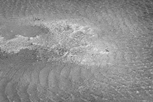 Water Movement Prints: Detailed view of bubbles and ripples on water surface creating abstract texture