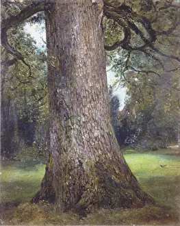 Constable Prints: Deutsch: Studie einer Ulme English: Study of an Elm Tree circa 1821
