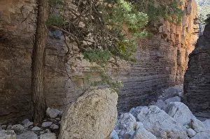Tight Prints: Devil's Hall, Pine Spring Canyon, Guadalupe Mountains National Park, Texas