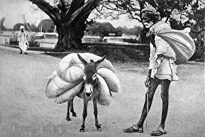Donkeys Prints: Dhobi laundryman or washerman or launderer and his donkey India old vintage 1900s picture