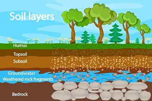 Beneath Prints: Diagram for layer of soil. Soil layers scheme with grass