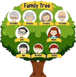 Family Tree Prints: Diagram showing three generation family tree illustration