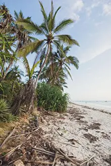 White Sand Prints: Diani beach in the morning, Kenya