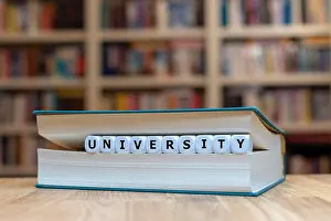 Back To School Prints: Dice in a book form the word 'EDUCATION'