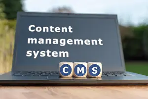 Dice form the abbreviation "CMS"