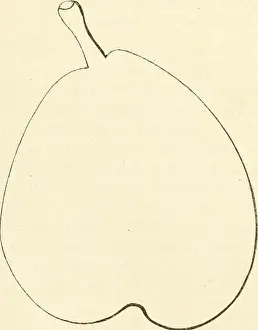 Propagation Prints: Dictionnaire de pomologie, contenant l'histoire