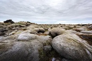 Lava Field Prints: Different Iceland landscape with lava field covered with brown moss Eldhraun from volcano eruption and cloudy sky