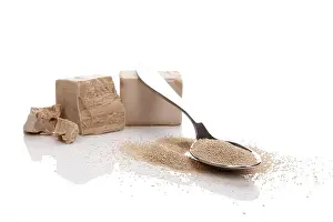 Against White Background Prints: Different types of yeast. Fresh pressed and dry instant yeast on white background