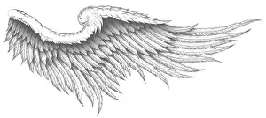 Wing Prints: A digital black white tattoo illustration of an angel wing with feathers