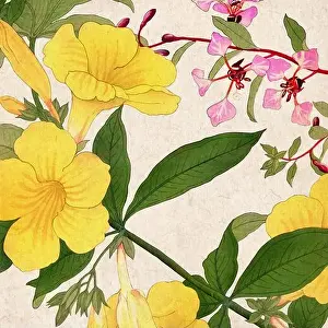 Digital floral design featuring a lively color palette on textured beige