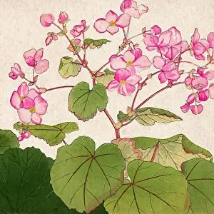 Florals Prints: Digital floral design featuring a lively color palette on textured beige