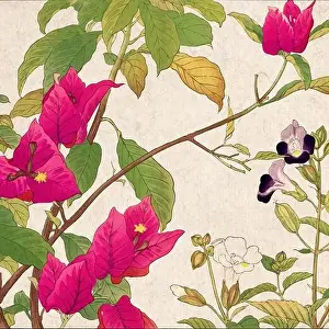 Digital floral design featuring a lively color palette on textured beige