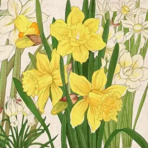 Florals Prints: Digital floral design featuring a lively color palette on textured beige