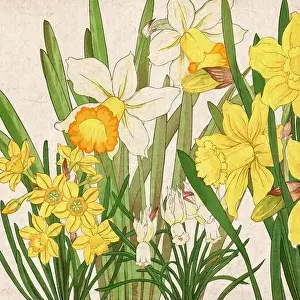 Florals Prints: Digital floral design featuring a lively color palette on textured beige