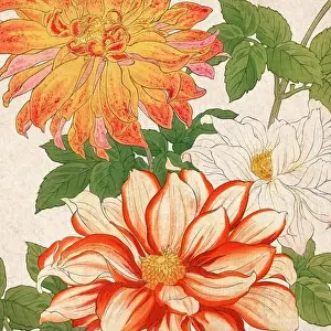 Digital floral design featuring a lively color palette on textured beige