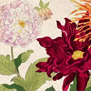 Florals Prints: Digital floral design featuring a lively color palette on textured beige