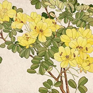 Florals Prints: Digital floral design featuring a lively color palette on textured beige