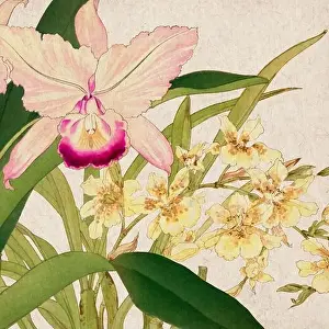 Florals Prints: Digital floral design featuring a lively color palette on textured beige