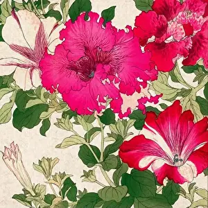 Nature Inspired Prints: Digital floral design featuring a lively color palette on textured beige