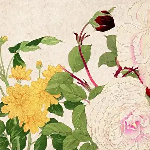 Digital floral design featuring a lively color palette on textured beige