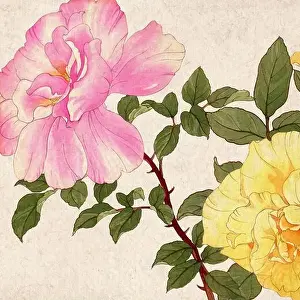 Digital floral design featuring a lively color palette on textured beige