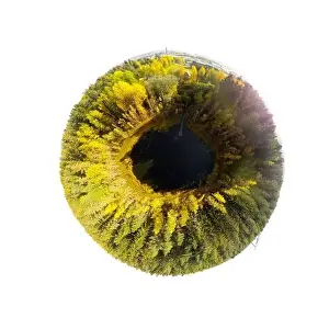 Green Lake Prints: A three dimensional aerial panoramic view of small forest lake Haransilma in Lahti