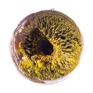 Green Lake Prints: A three dimensional aerial panoramic view of small forest lake Haransilma in Lahti