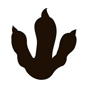 Claw Prints: Dinosaur foot, reptile track silhouette in cartoon style isolated on white background