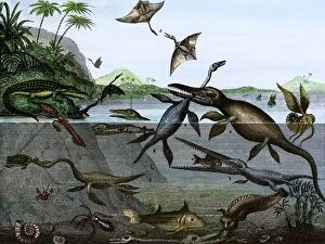Images Dated 12th December 2023: Dinosaurs of the sea, land, and air during the Age of Reptiles, a 19th-century depiction
