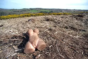 Discarded Prints: Discarded rubber sex toy in a beauty spot known for dogging'
