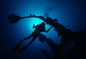 Red Sea Prints: Diver exploring a shipwreck covered in coral. Egypt, Red Sea