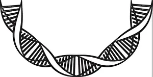 Chromosome Prints: dna chain with curve science icon