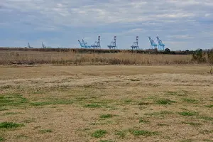 Light Cloud Prints: Dock cranes at Alabama state docks behind grassland