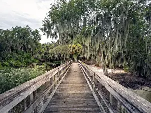 Orlando Prints: Dock at Lake Jessup, Oviedo, Florida, June 24, 2024